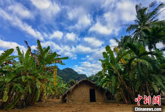 图为白查村黎族船型屋. 尹海明 摄