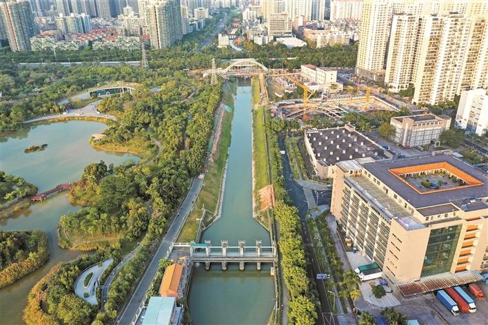治理后的新洲河水清岸绿.