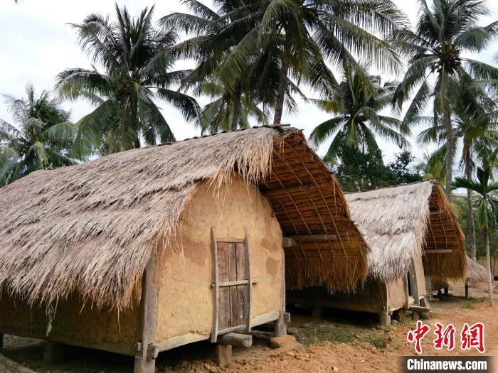 图为白查村黎族船型屋谷仓. 尹海明 摄