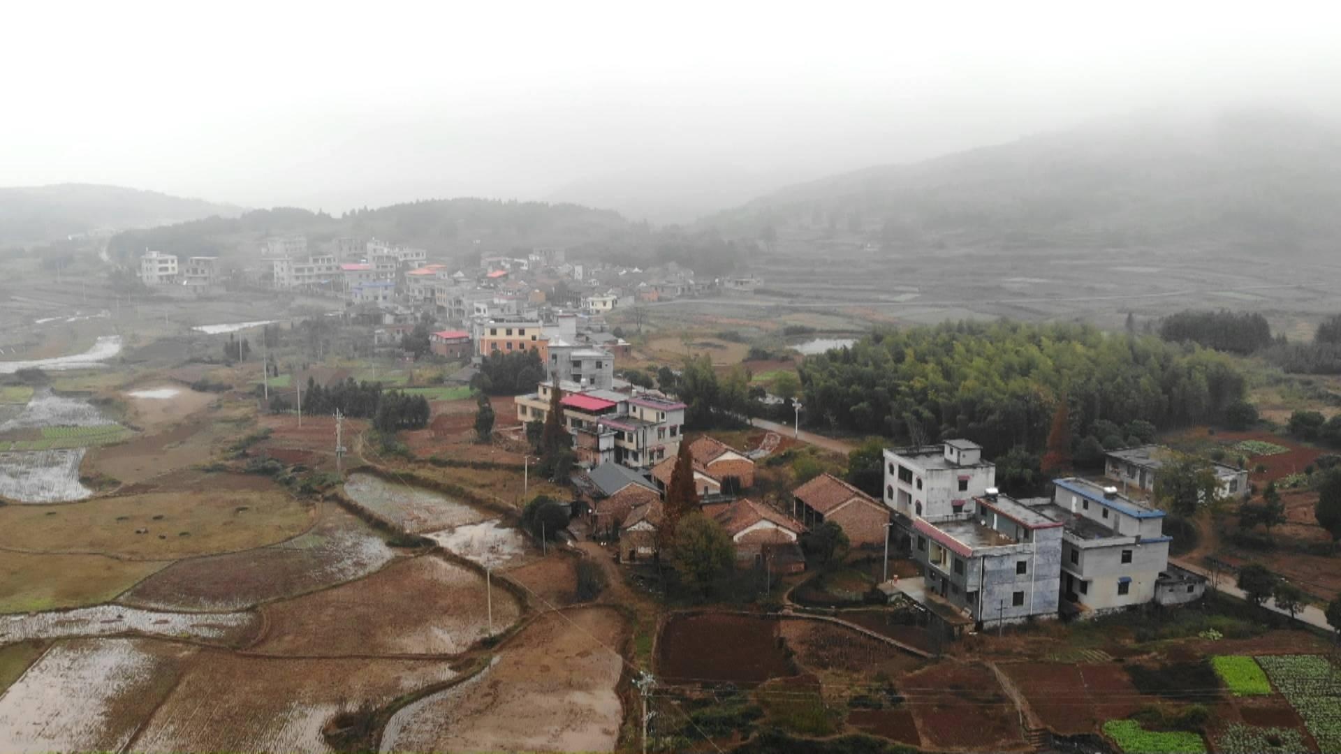 临武县香花镇:排解矛盾纠纷 促乡村和谐发展