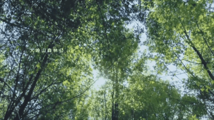 运河、文化周末、东莞篮球……