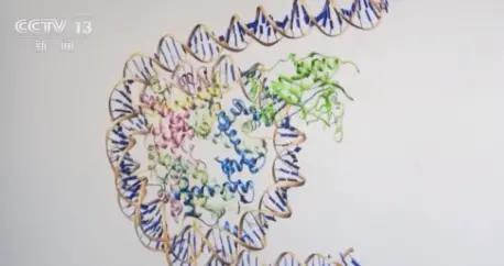 小三阳是什么意思 谷氨酰基转移酶高是什么病