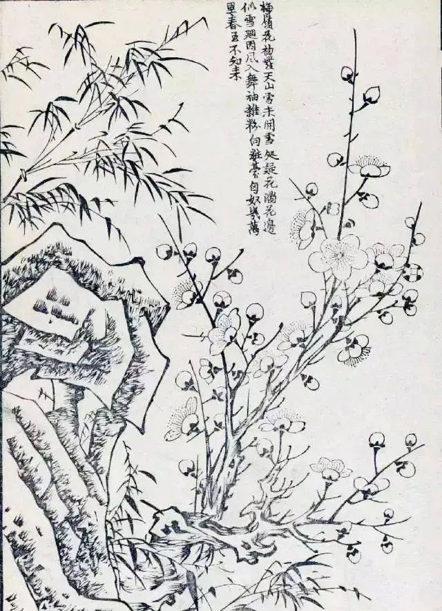 这本梅花谱是临摹的又一极佳范本