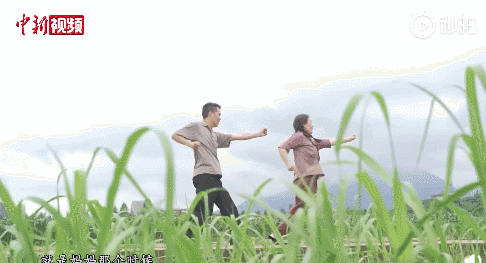 来源：视频截图。