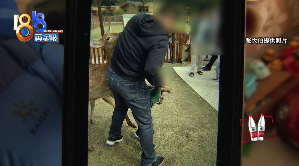 四川多名游客泡温泉时遭电击:多人受伤一人昏迷