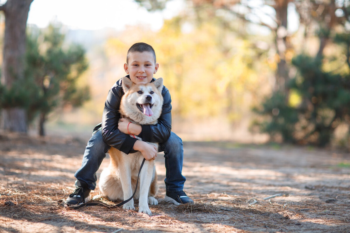 原来养狗有那么多好处,怪不得那么多人想养