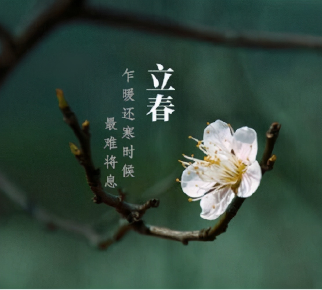 2021年立春的时间是2021年2月3日,是五九的最后一天,所以2021年将会是