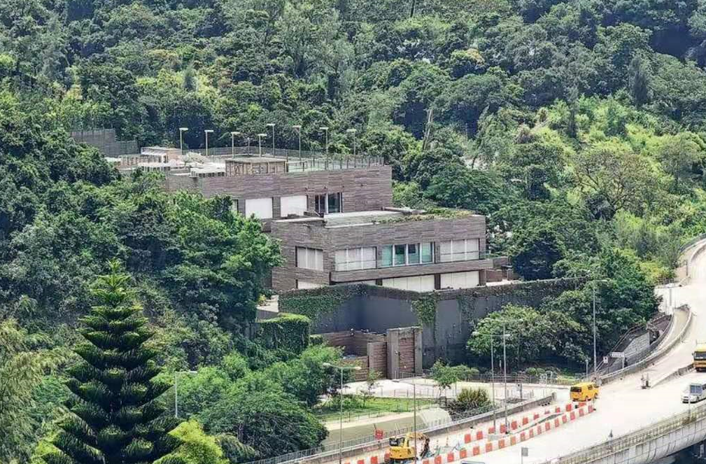 林青霞近10亿豪宅曝光,后院似仙境引仙鹤驻足,屋外被树林围绕|林青霞