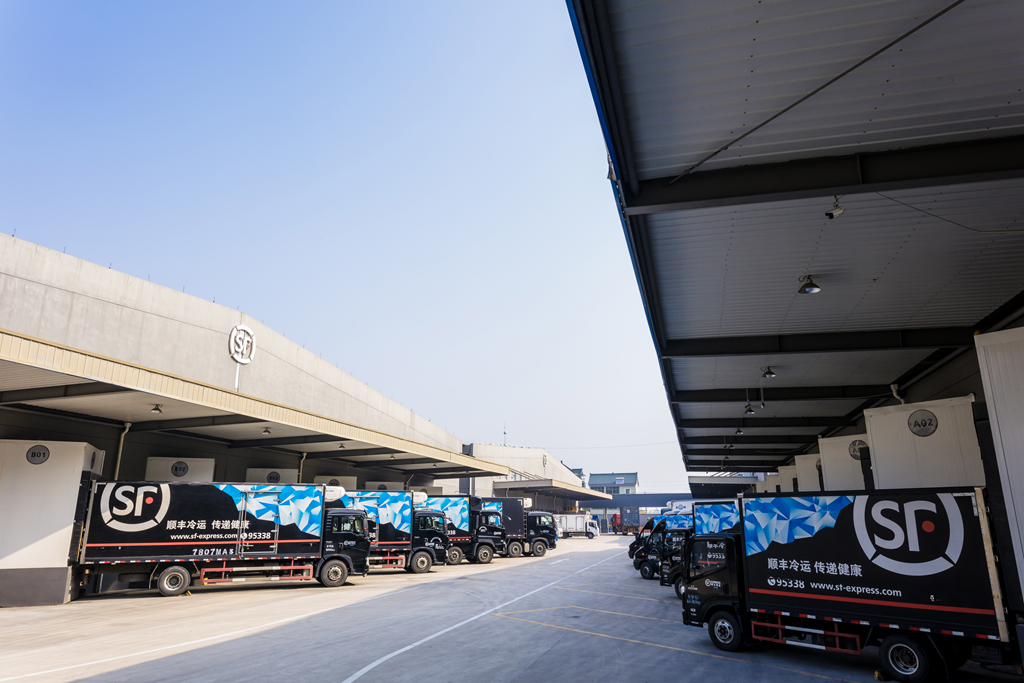 顺丰冷运某仓库外车辆蓄势待发