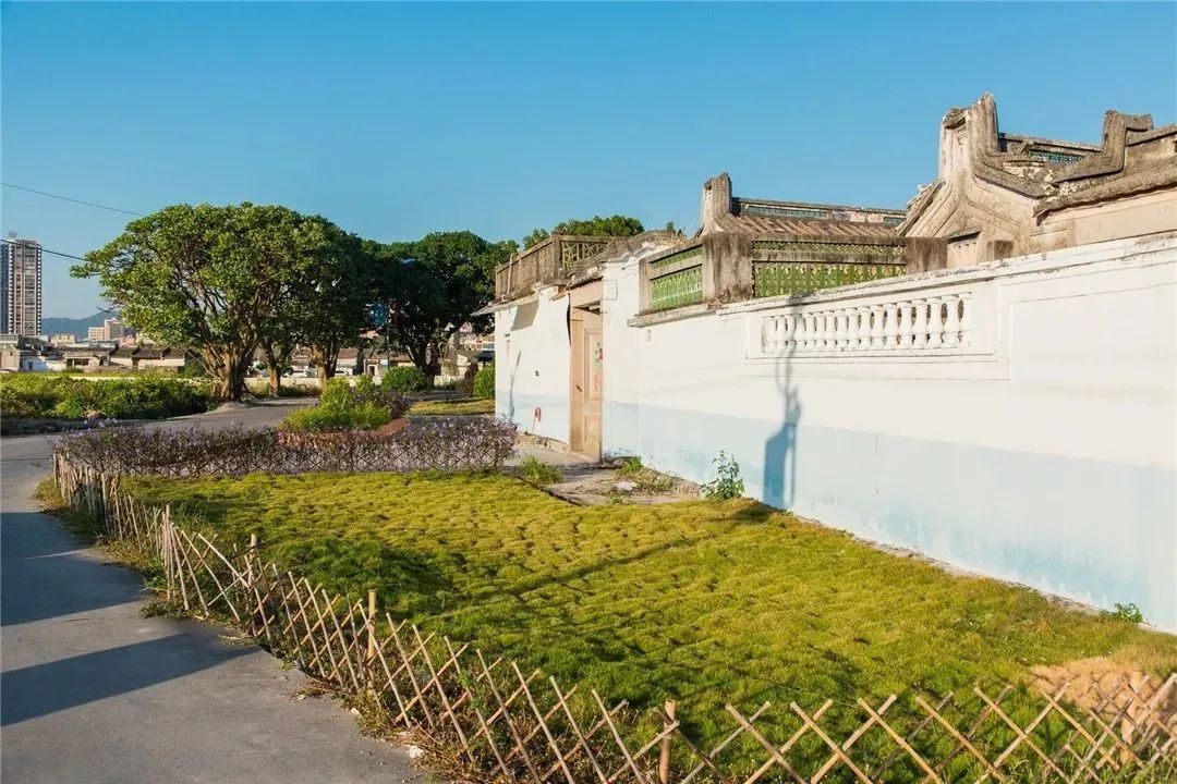 练江清·家乡美 |走进最美乡村——军埠镇陇头新南村