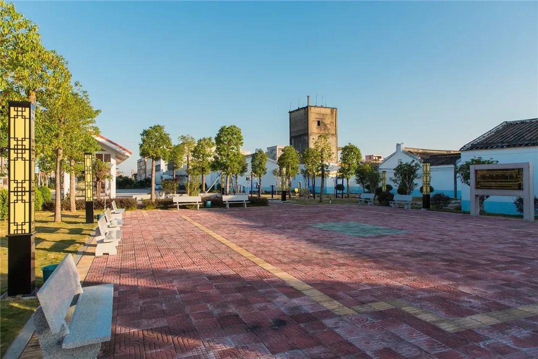 练江清·家乡美 |走进最美乡村——军埠镇陇头新南村