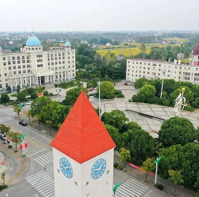 咱家的小康生活 | 江苏姜堰白米镇:发展"跨围栏"赶超"拉高线"