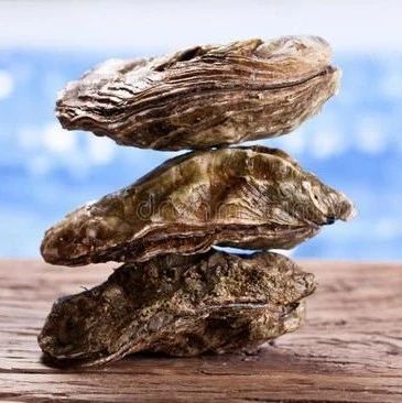 佰亿恒SEO优化大师