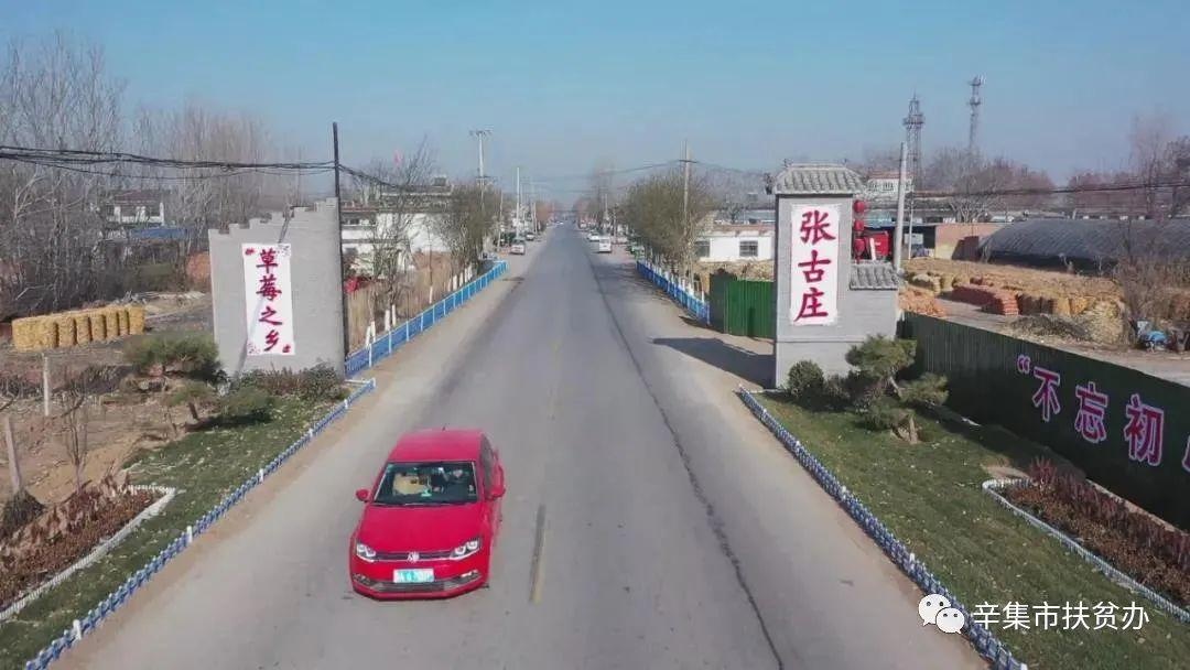 河北辛集:张古庄镇镇长为草莓代言|农产品|辛集市|河北_新浪新闻