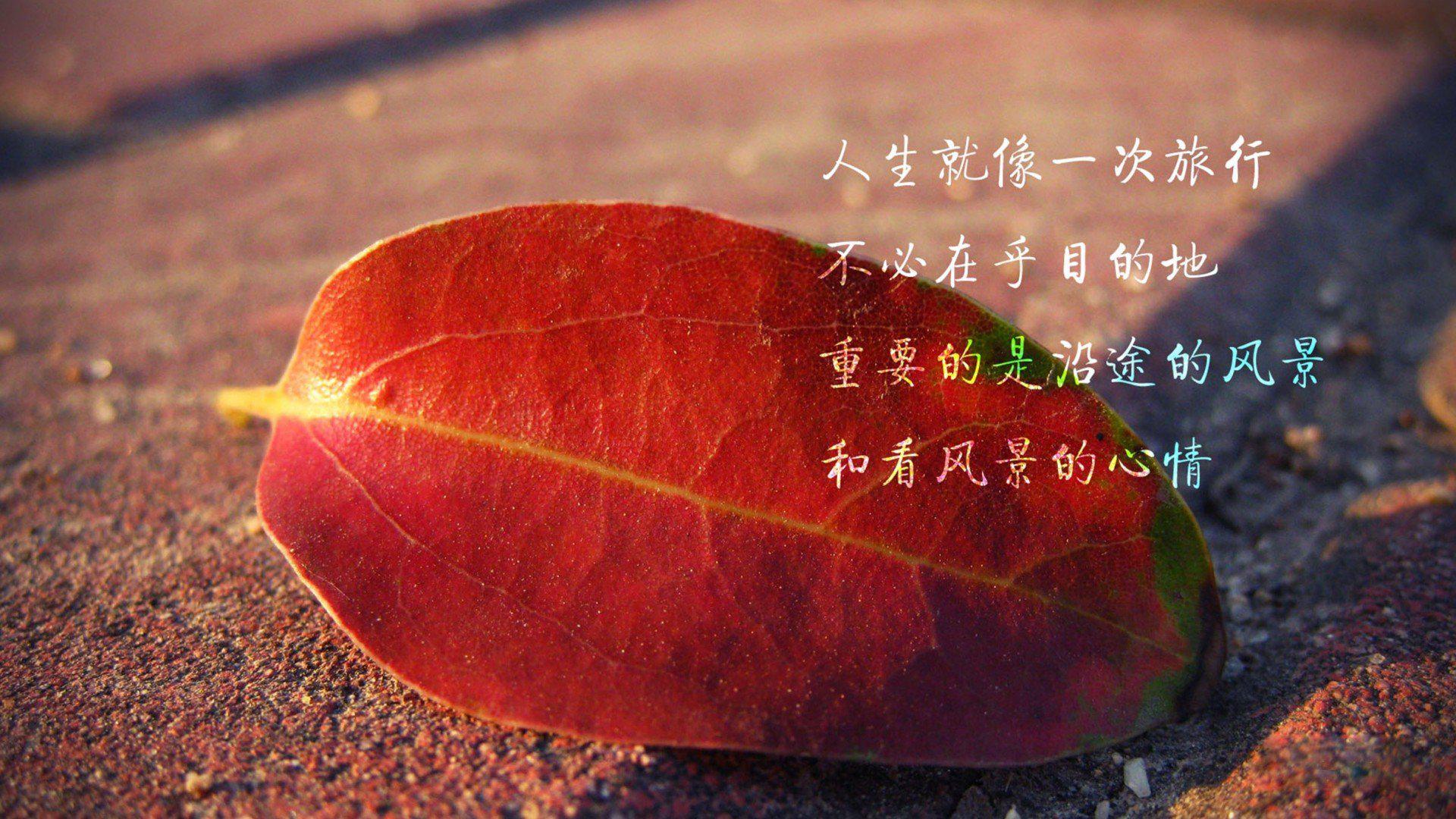 喜欢一样东西,就要学会欣赏它,珍惜它,使它更弥足珍贵