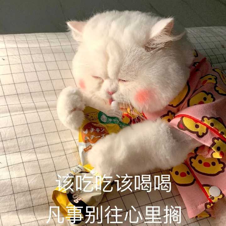 搞笑又沙雕的朋友圈文案二十八
