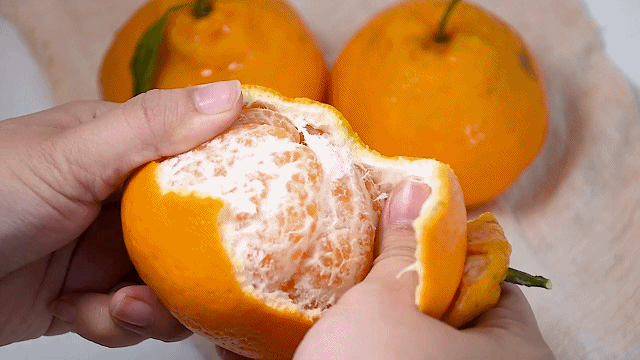 耙耙柑皮很软很好剥,只要轻轻用手一掰,皮就会破开,不会弄脏指甲缝,吃