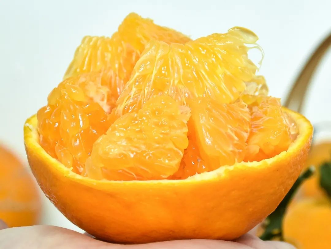 耙耙柑减肥吗(耙耙柑热量大吗)