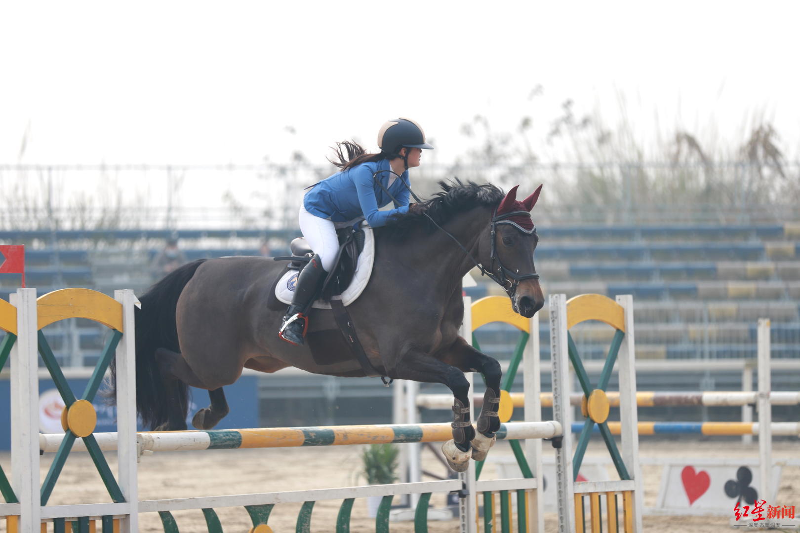 西南区马术俱乐部联赛温江开幕157对人马组合挑战7个级别