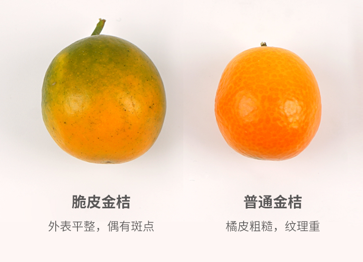 甜滋滋的冰糖心金桔！带皮吃，脆爽又蜜软，好过瘾！|桔子_新浪新闻