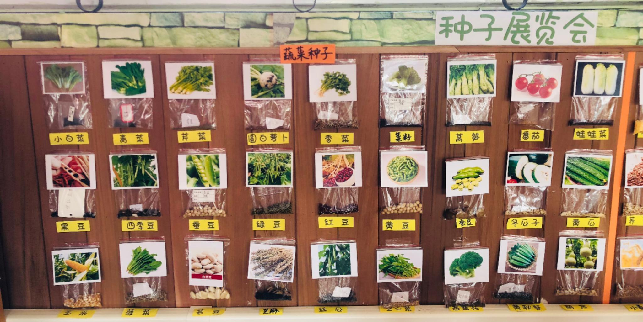 巧手来拼图 种子大变身——西安经发学校植物籽粒拼图作品展