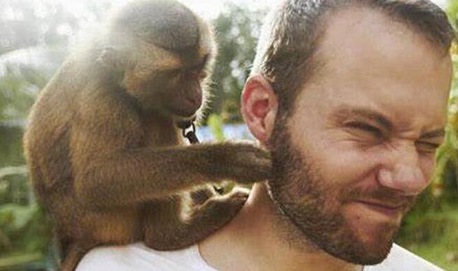 拜托别再说人是从猴子进化来的人类的进化过程其实是这样的