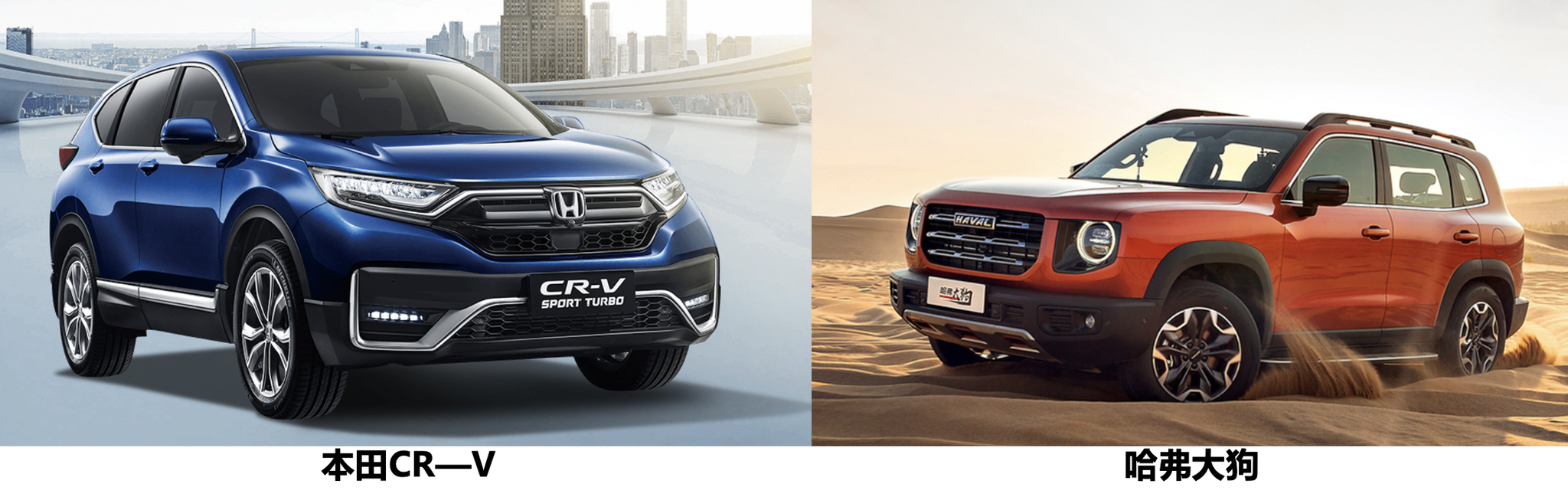 15-20万选潮野的哈弗大狗还是常青CR-V？