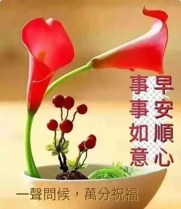 最新早上好祝福句子,很漂亮的早上好祝福图片精选