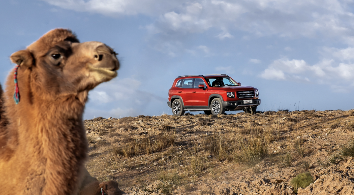 15-20万选潮野的哈弗大狗还是常青CR-V？