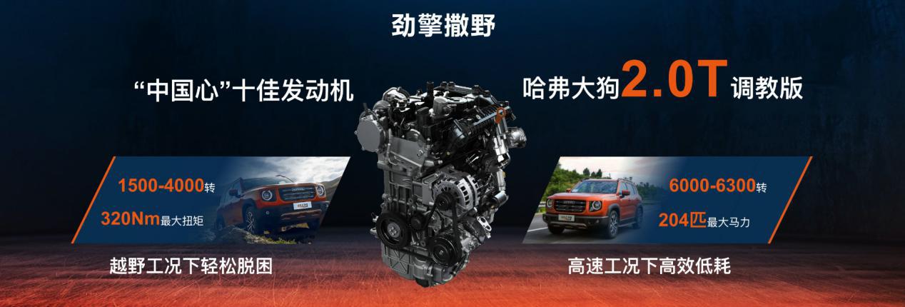 15-20万选潮野的哈弗大狗还是常青CR-V？