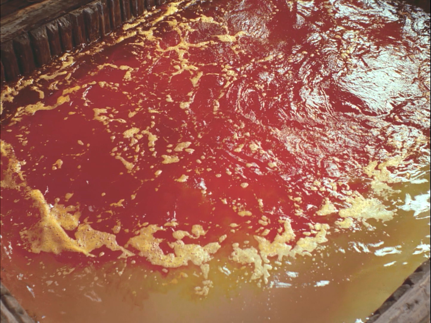 《菊豆》中的染缸意象