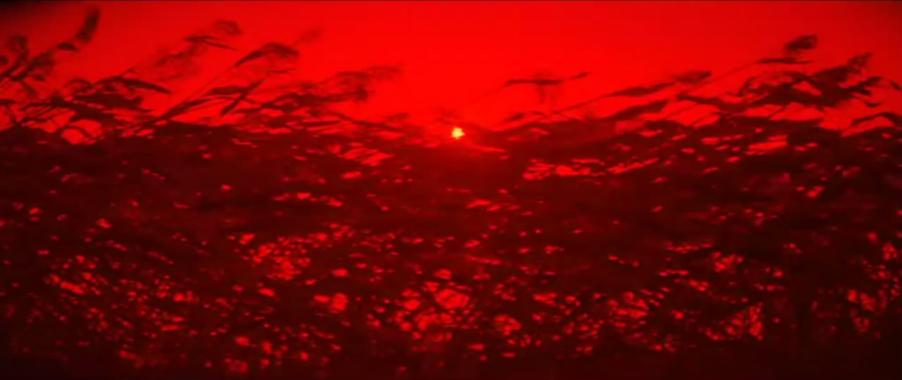 《红高粱》渲染出民族血性