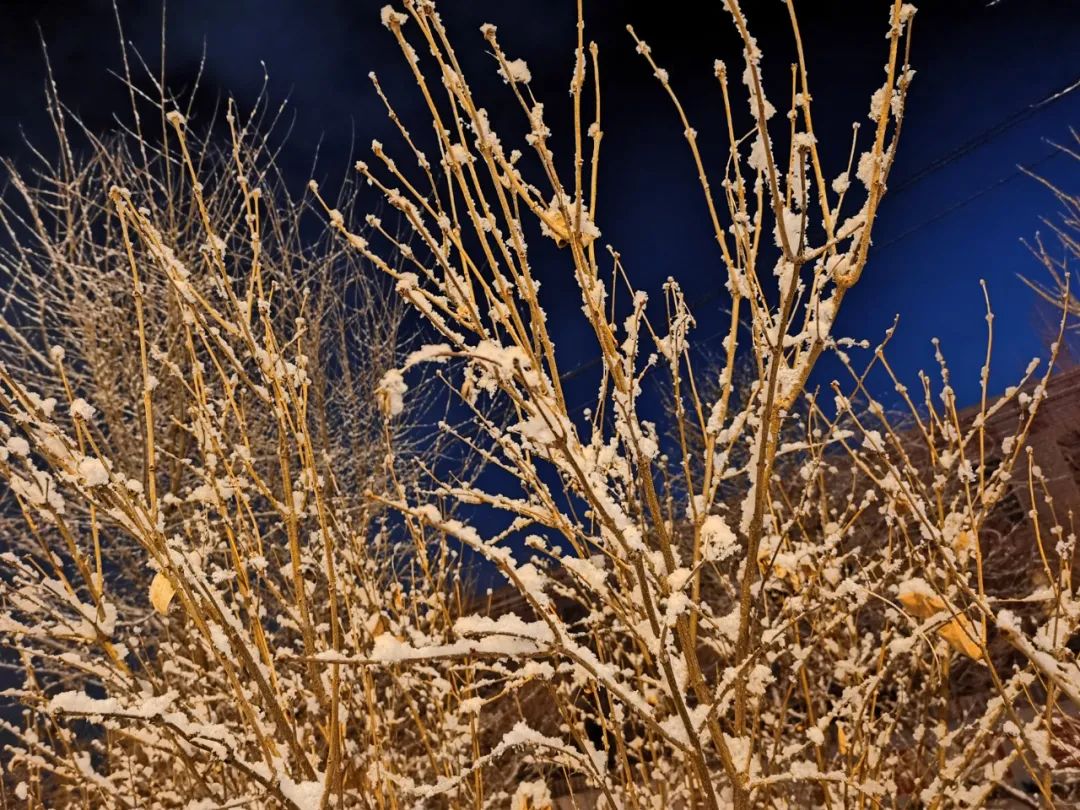 比同级的奔驰宝马suv还霸气价格却便宜不少开它出去特有面子