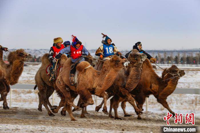 鄂温克冬季马赛-30℃极寒开赛:寒冬中的火热派对