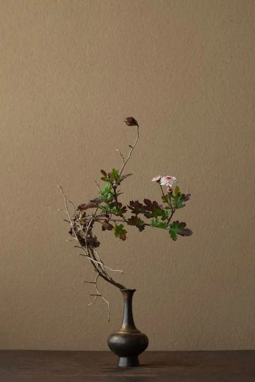 被丢掉的枯枝落叶捡来插花太美了