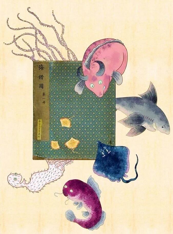 《海错图》:乾隆常放枕边伴眠