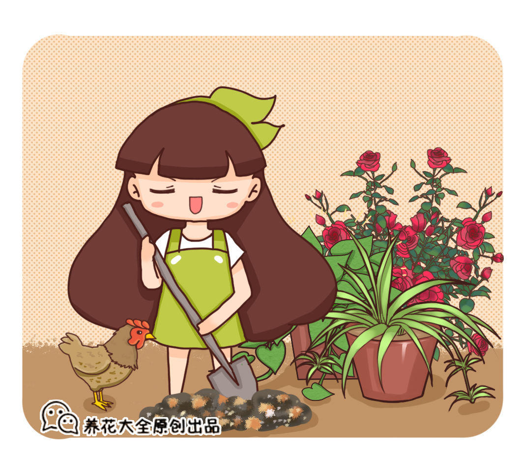 这样处理一下,秒变高效养花肥!