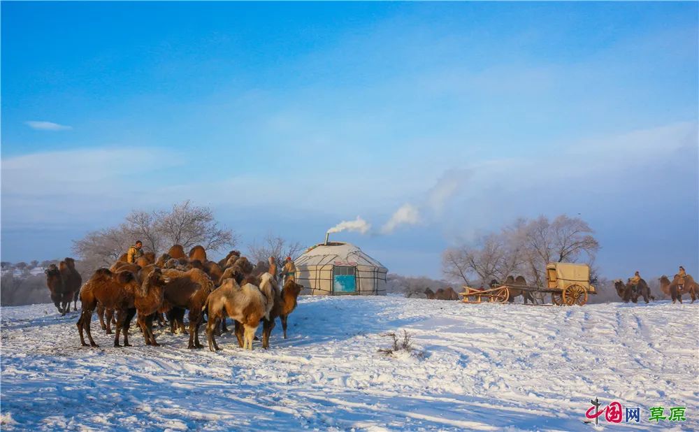 乌珠穆沁冬日雪景大片|内蒙古_新浪新闻