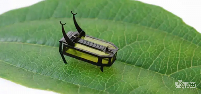 ▲甲虫般大小的微型机器人“RoBeetle”