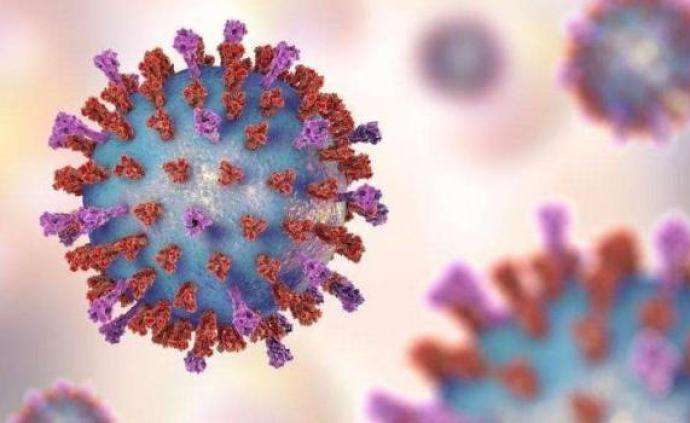 南非与英国就变异新冠病毒打口水仗 专家：加强监测与预警是关键