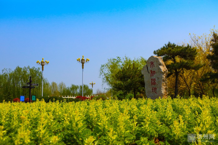 邹平韩店禾和湿地公园:春夏秋冬皆美景