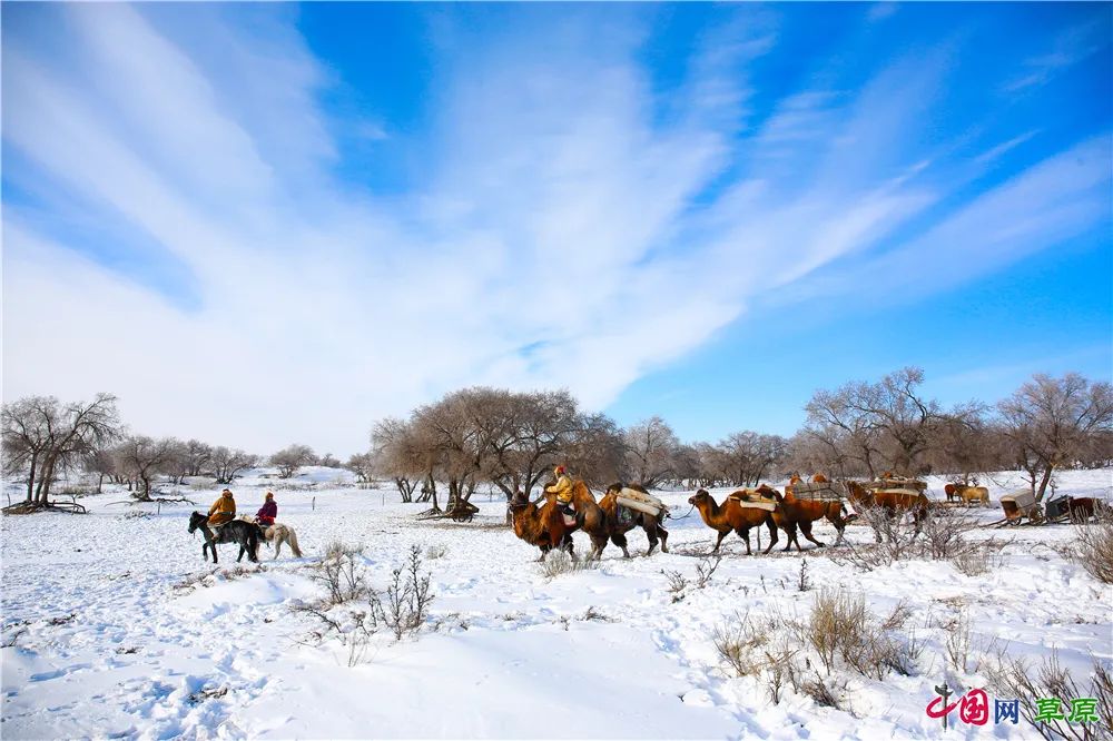 乌珠穆沁冬日雪景大片|内蒙古_新浪新闻