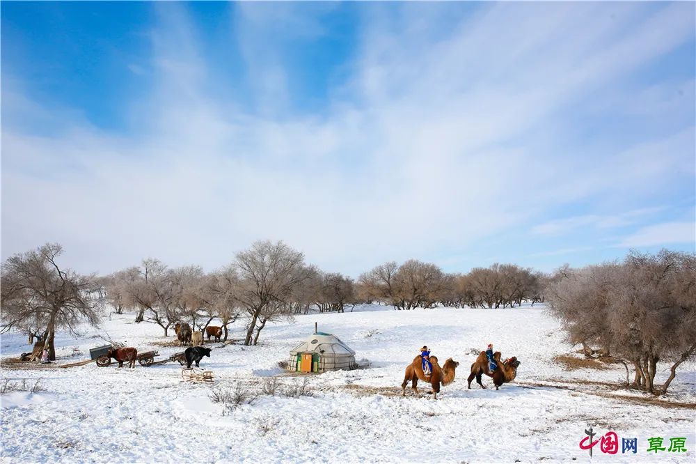 上新啦!乌珠穆沁冬日雪景大片