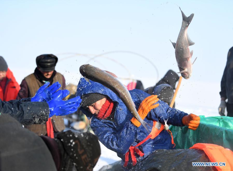 Fishermen sort fishes during winter fishing on frozen Ulunggur Lake in Fuhai County, northwest China's Xinjiang Uygur Autonomous Region, Dec. 27, 2020. Every year, fishermen here follow the traditional winter fishing method by putting down a giant net under the ice for fishing on the frozon Ulunggur Lake, one of China's ten largest freshwater lakes. (Xinhua/Sadat)