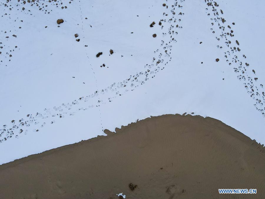 Aerial photo taken on Dec. 27, 2020 shows animal footprints on the snow-covered Taklimakan Desert in Yopurga County in Kashgar, northwest China's Xinjiang Uygur Autonomous Region. (Xinhua/Gao Han)
