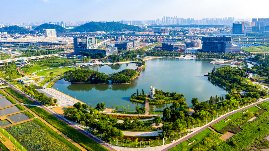 深夜急需高端茶却不懂行?广佛24小时热线省30%踩坑费