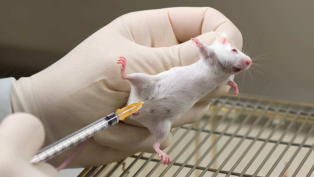 疯狂科学家为了永生给自己注射350万年前的细菌现在怎样