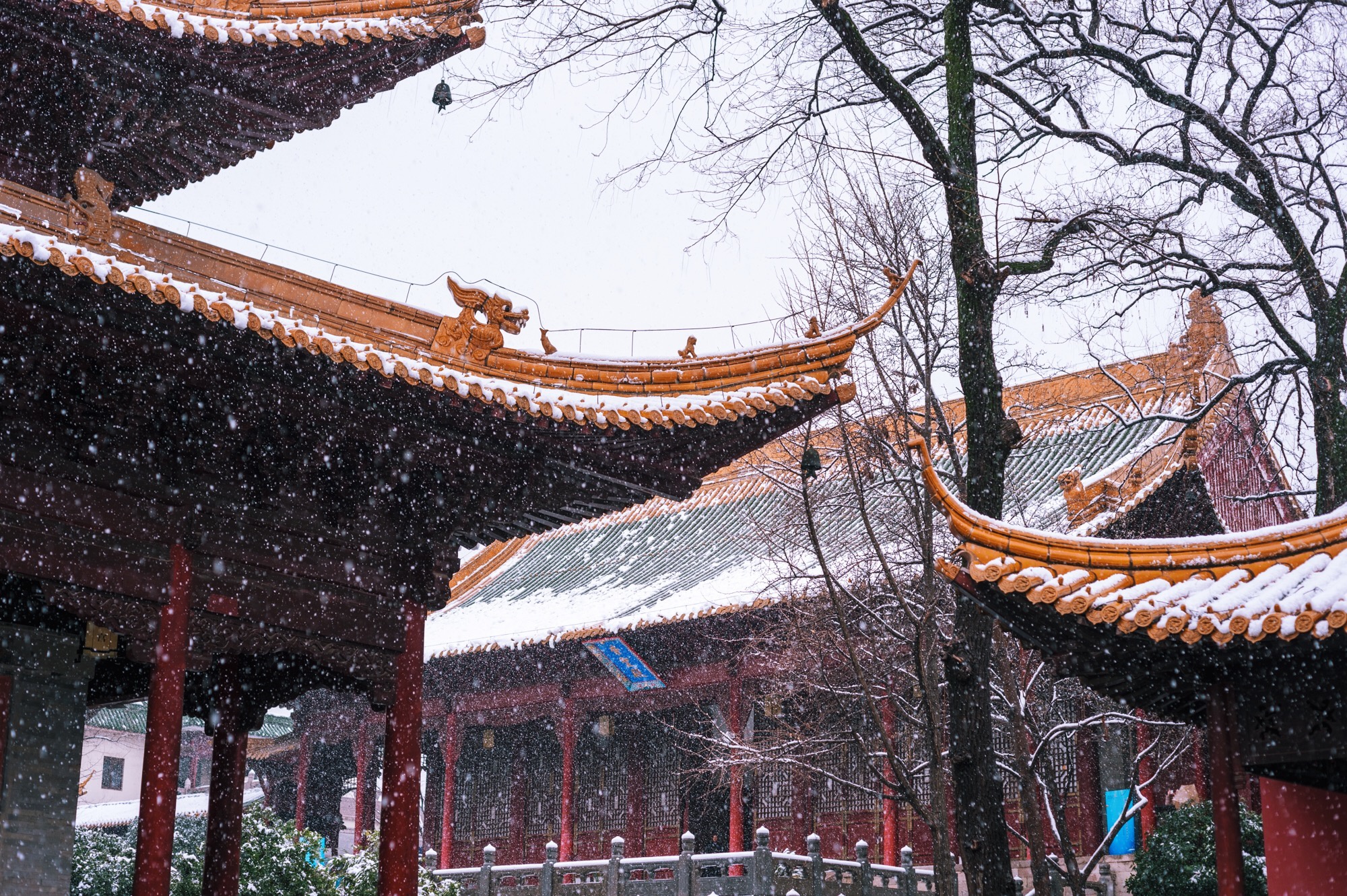 南京下雪天图片图片