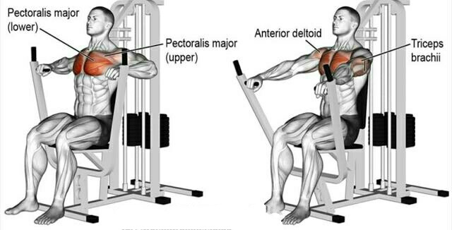 动作七:蝴蝶机夹胸锻炼胸沟分离度调整座位高度,使把手与你的肩在同一