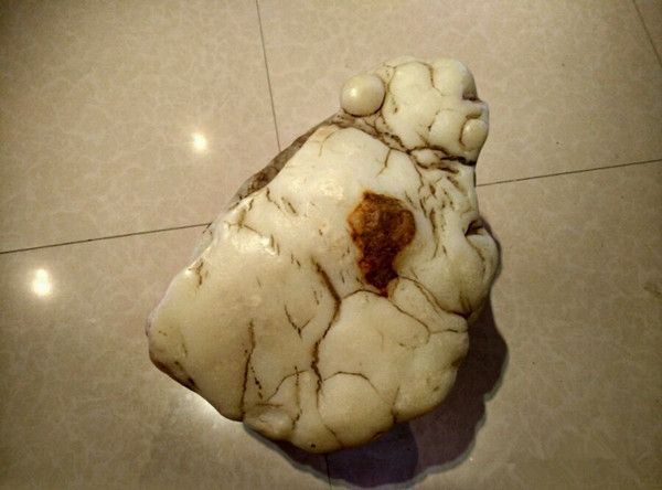 男子捡回一块罕见怪石,专家的话,让他顿时泪奔了